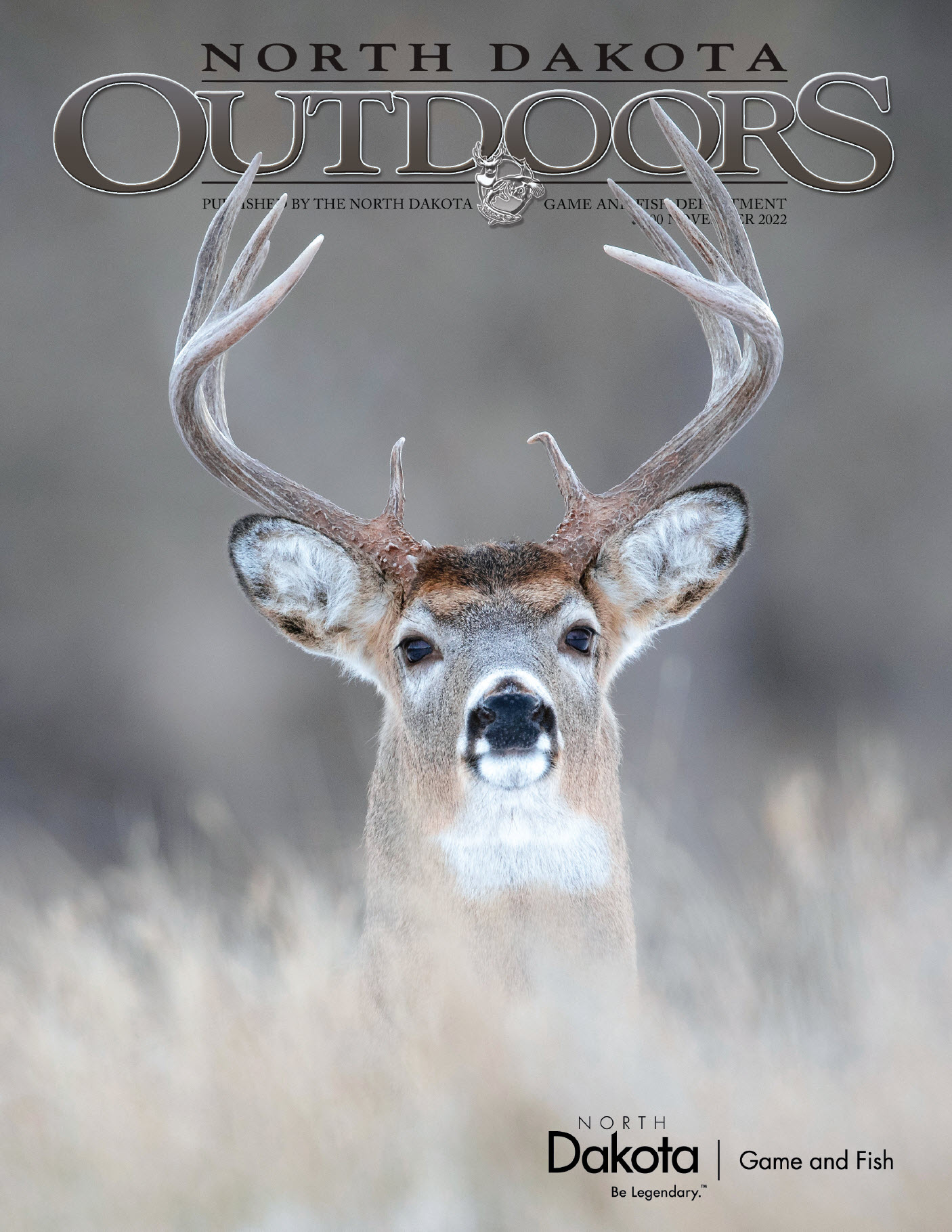 Cover - White-tailed buck looking over a hill