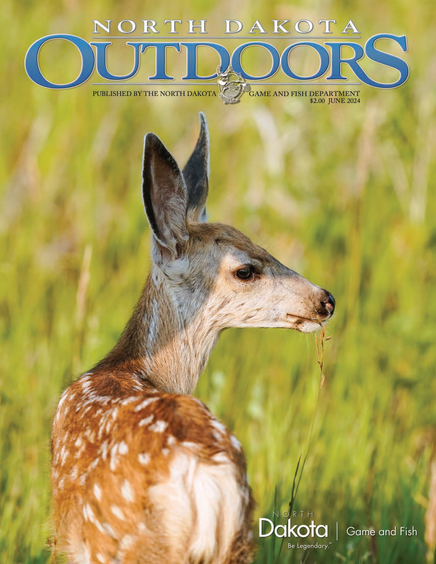 Magazine cover - mule deer fawn