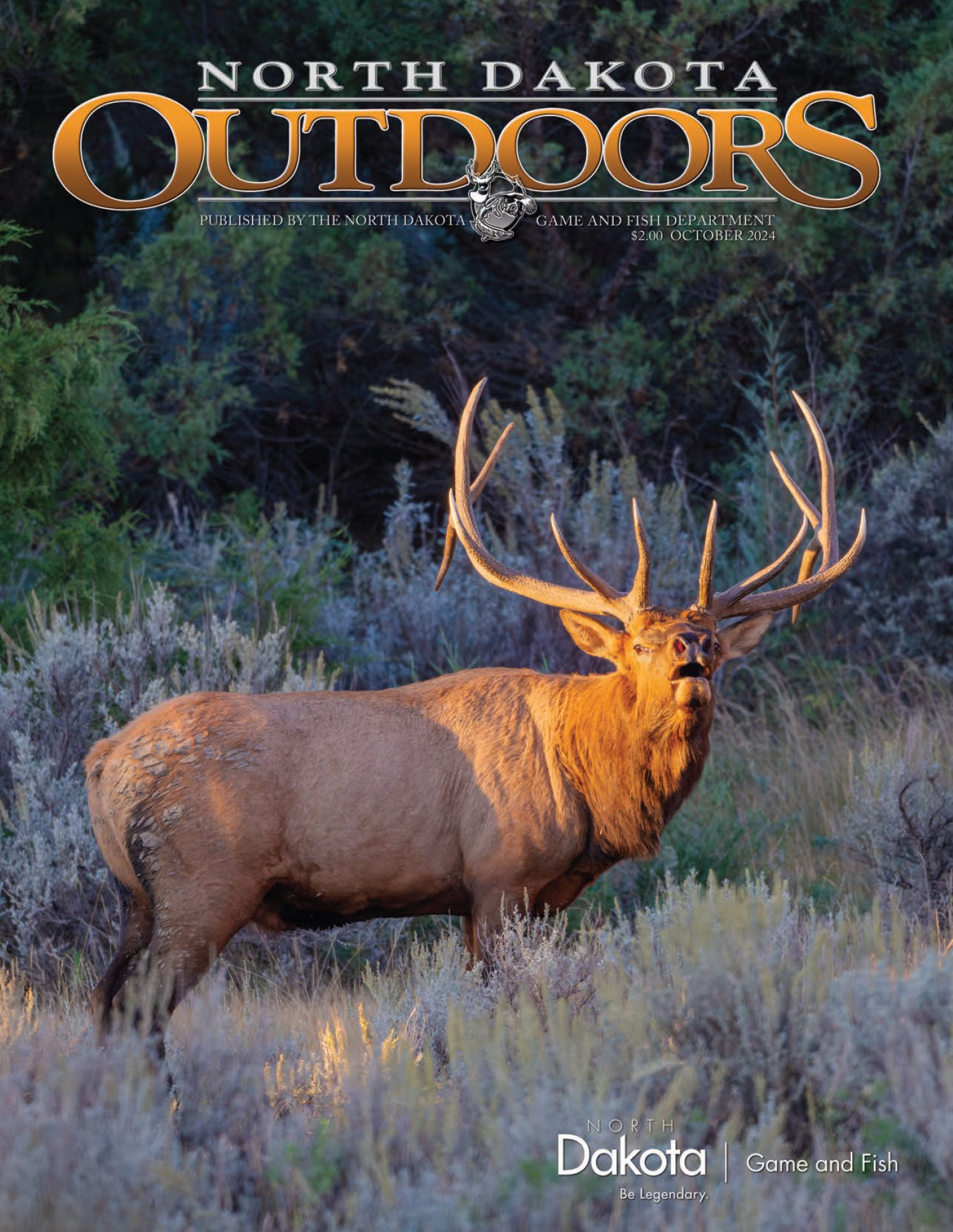 Cover - bull elk in rut