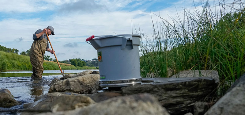 Aaron Larsen searches for aquatic invertebrates in the Heart River.