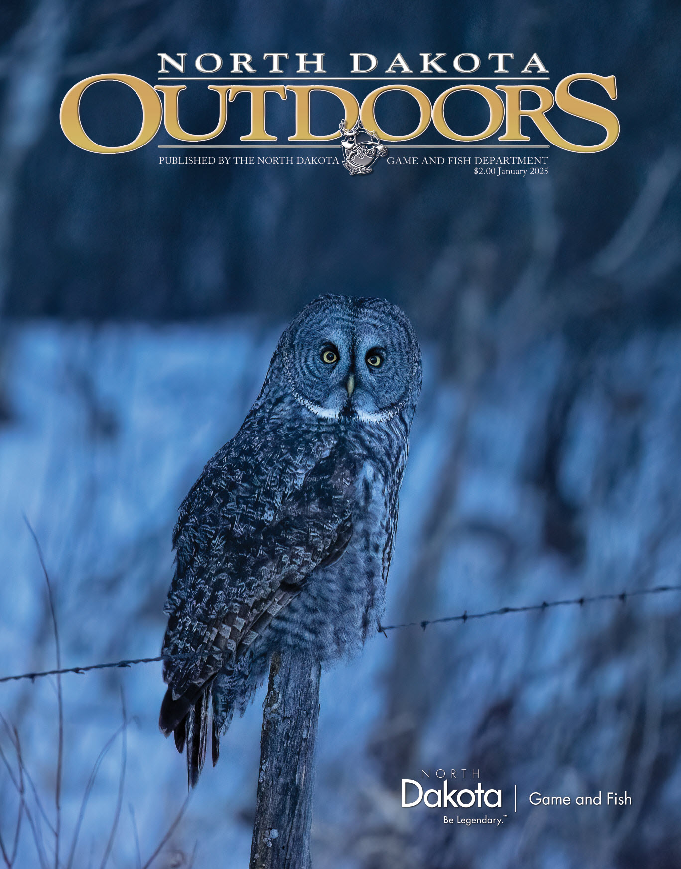 Cover - Great Gray Owl taken by Lisa Buckweitz