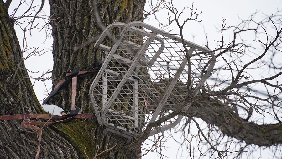 Tree stand