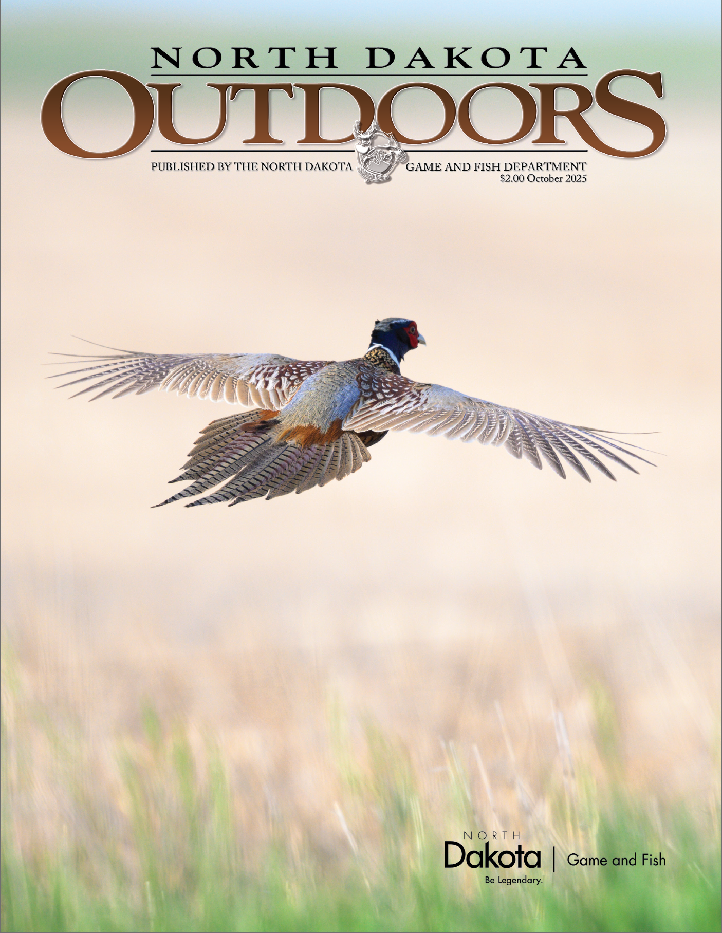 Magazine cover - pheasant rooster flying away