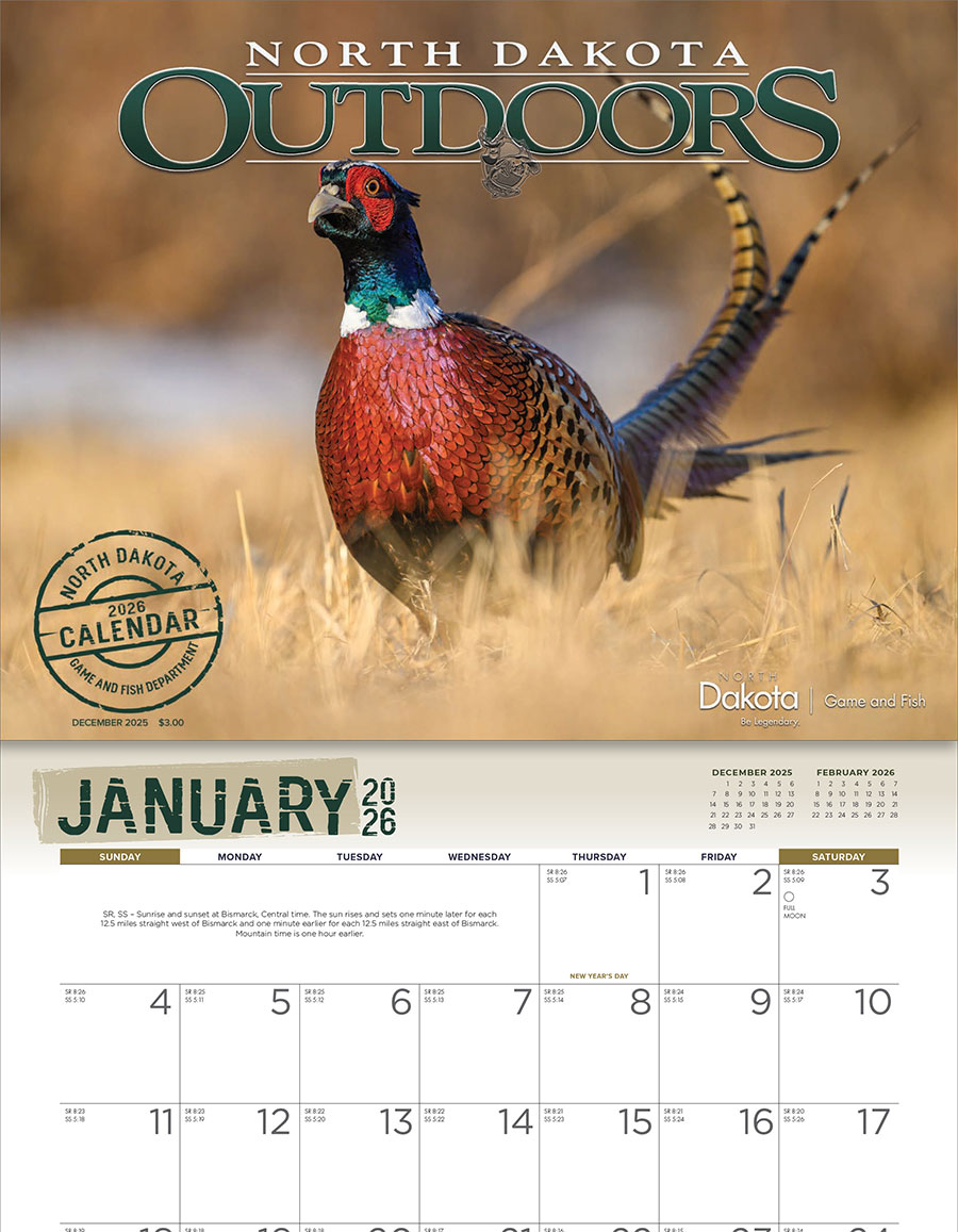 Calendar Cover - Pheasant