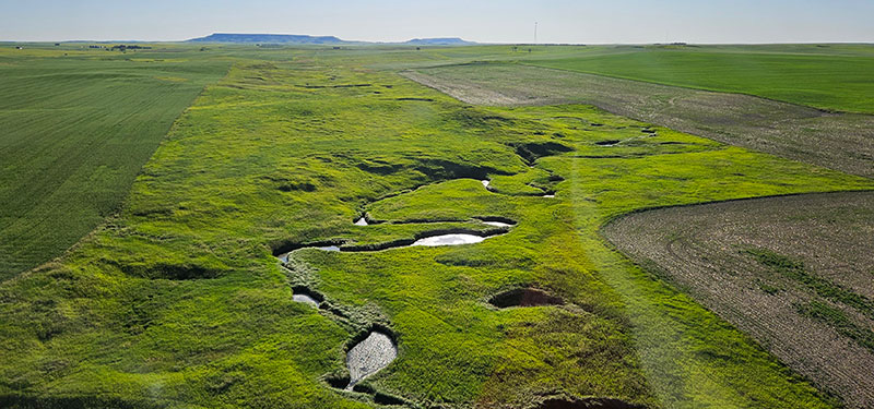 Wildlife habitat between crop fields