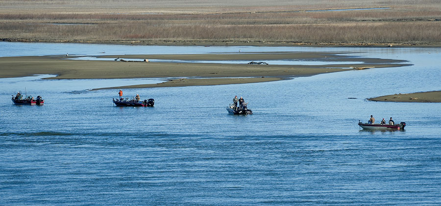 People fishing from boats