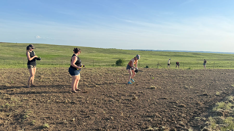 People planting a field
