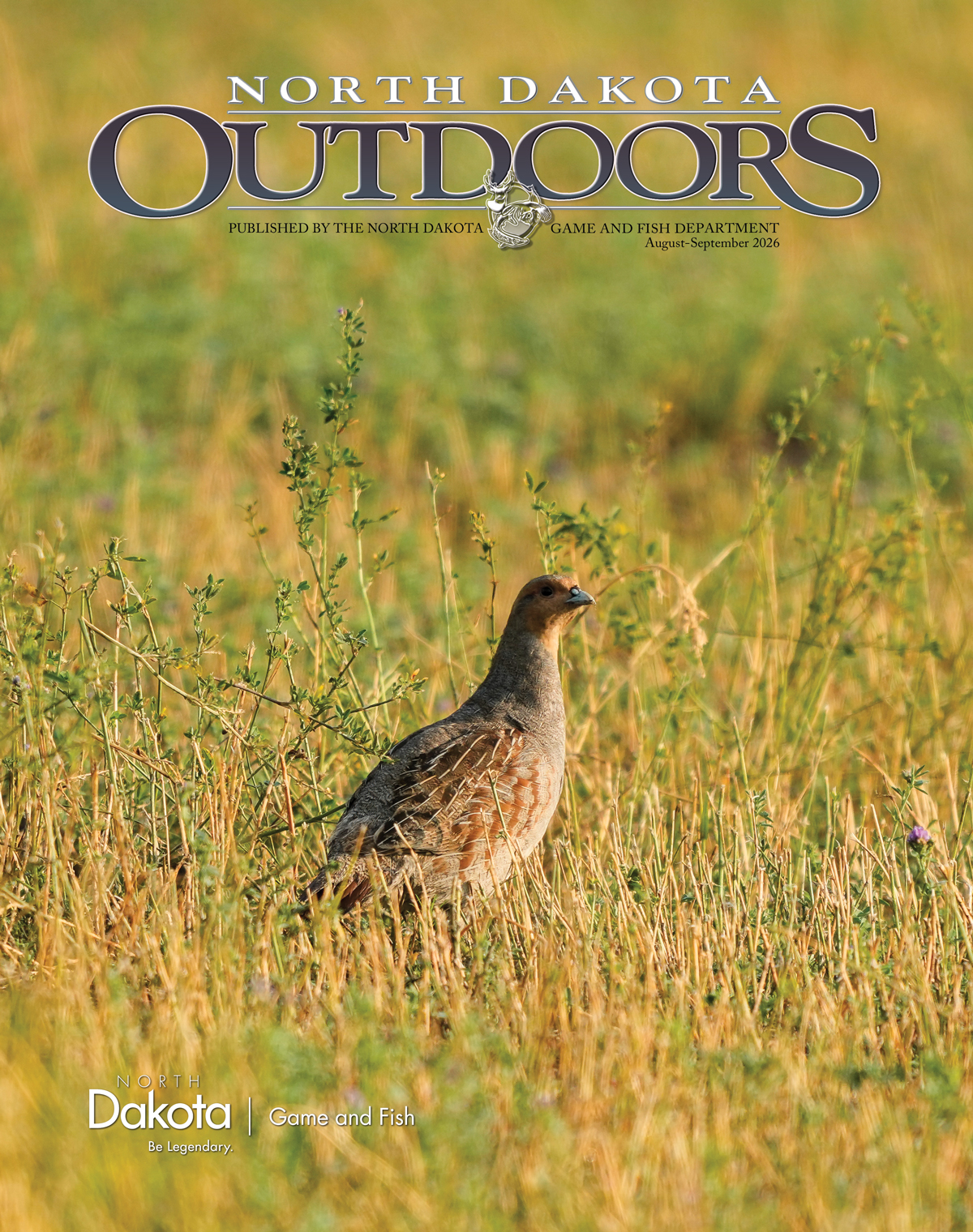 August/September NDO cover - gray partridge in late summer