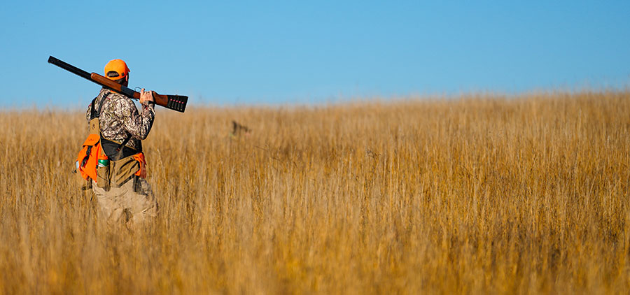 Hunter in a field