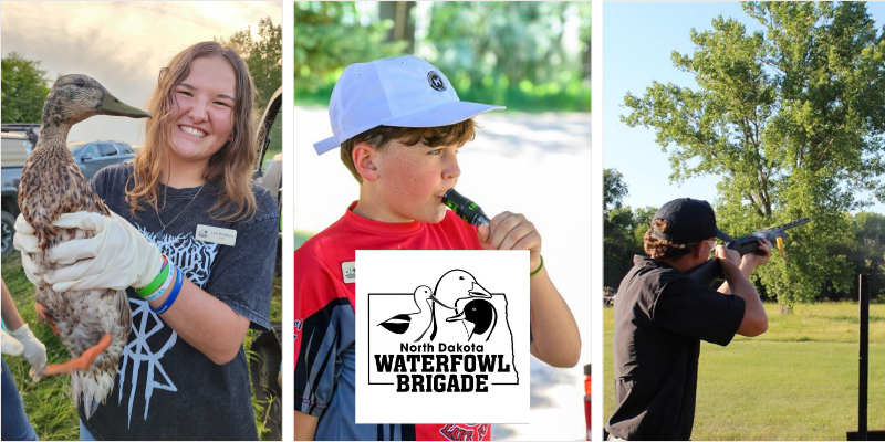 Waterfowl Brigade Camp