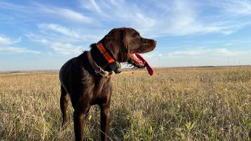 Rhett standing on the prairie