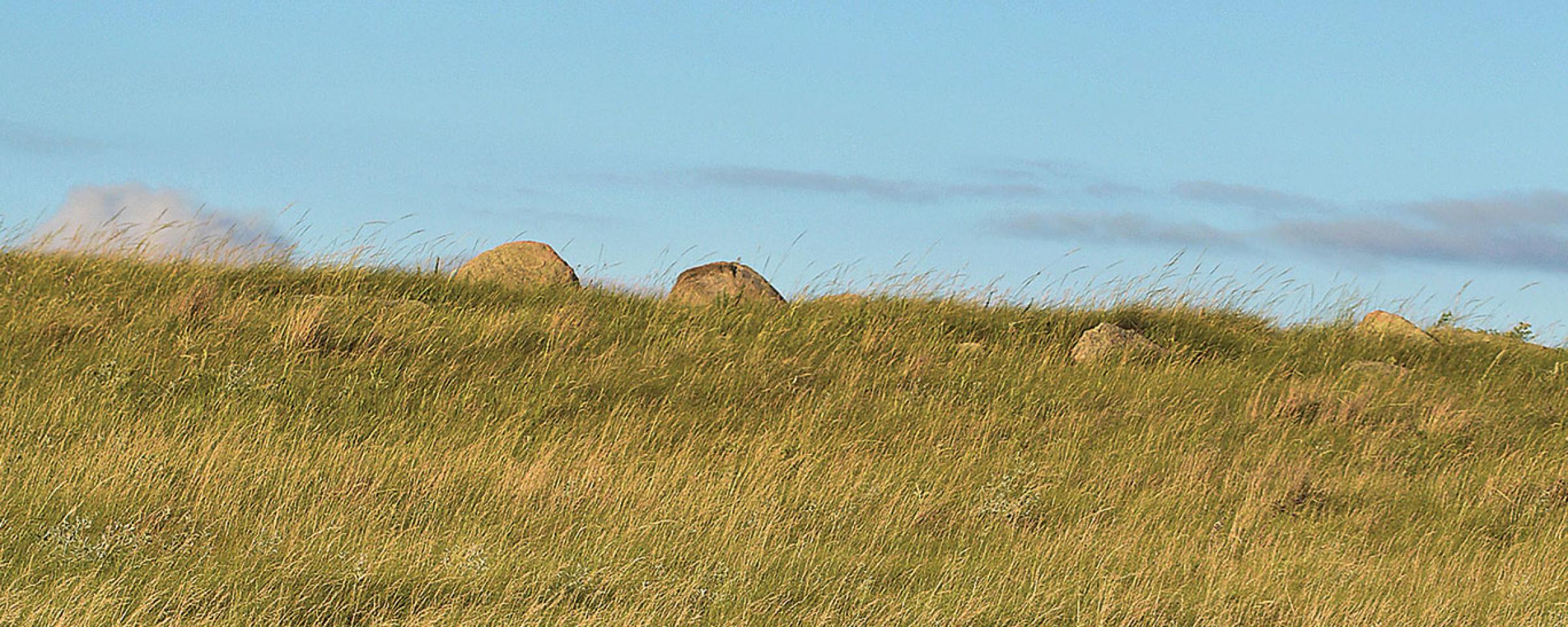 Active north dakota blue alert