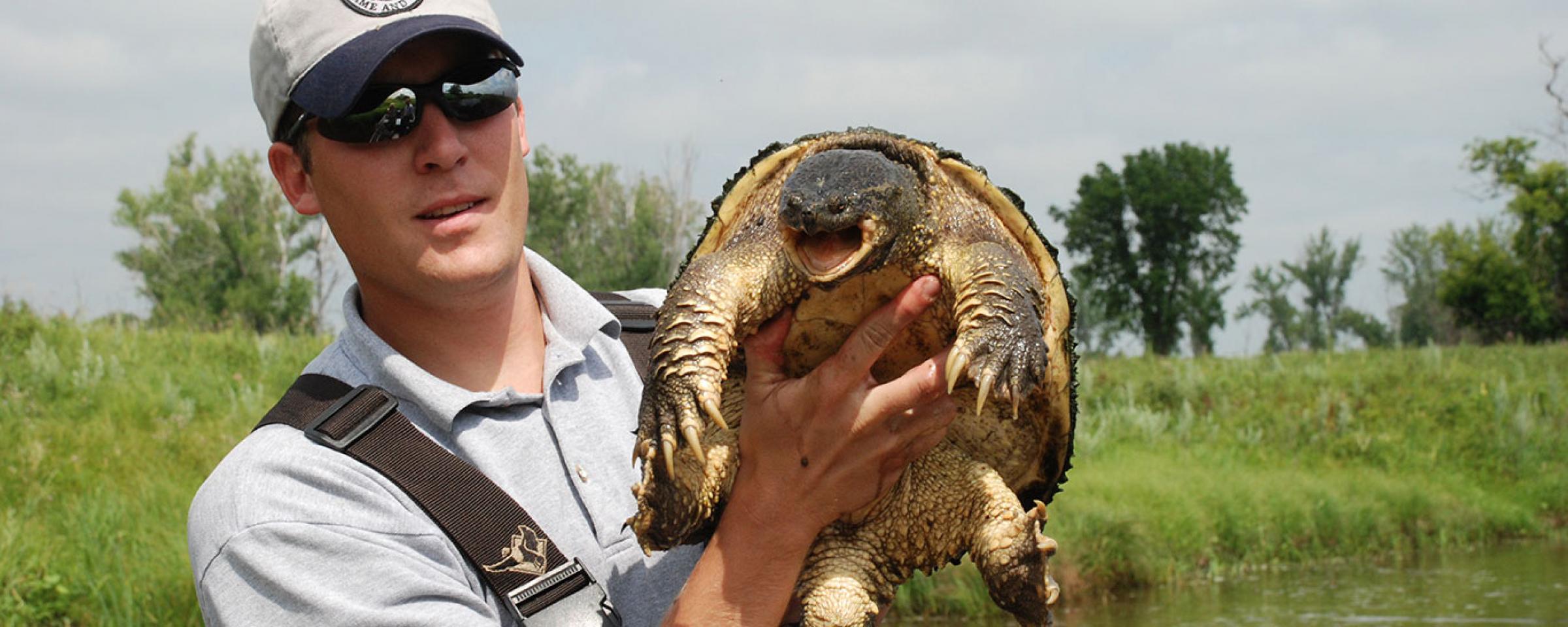 Annoyed snapping turtle