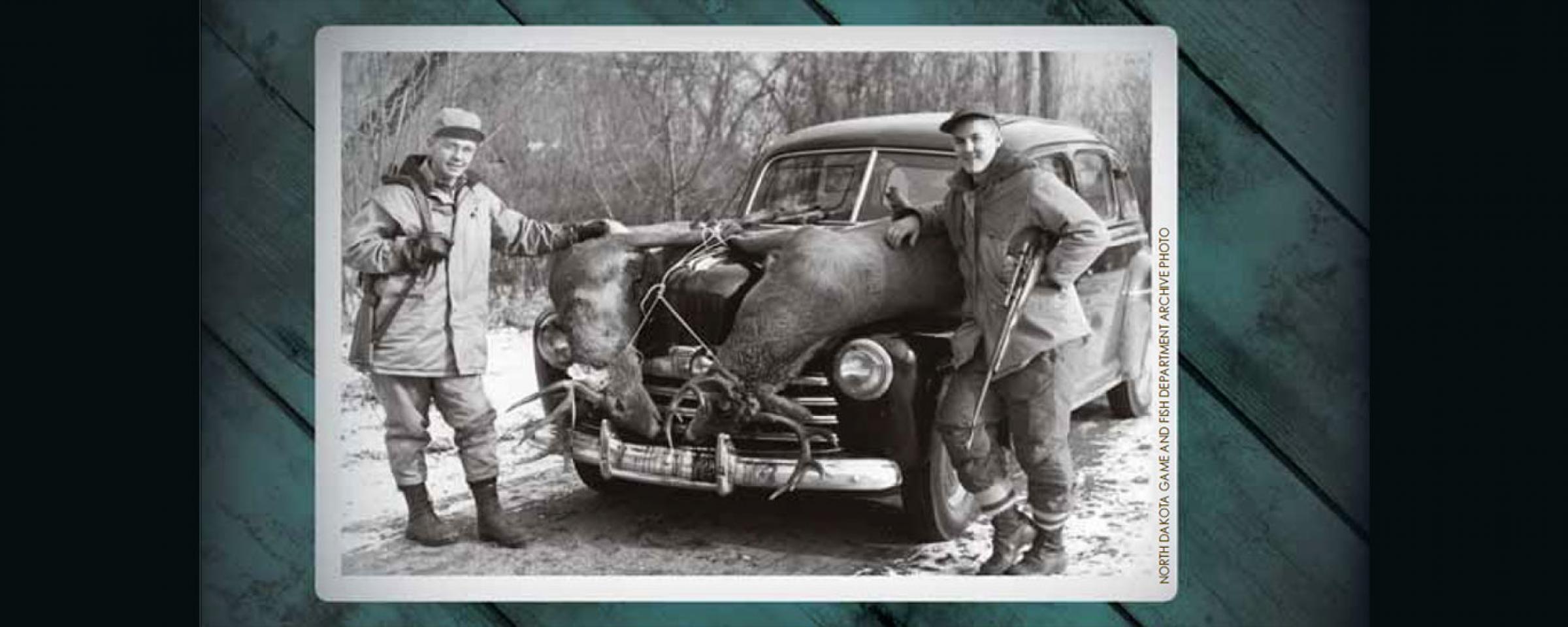 1954 photo of hunters with deer carcasses tied to hood of car