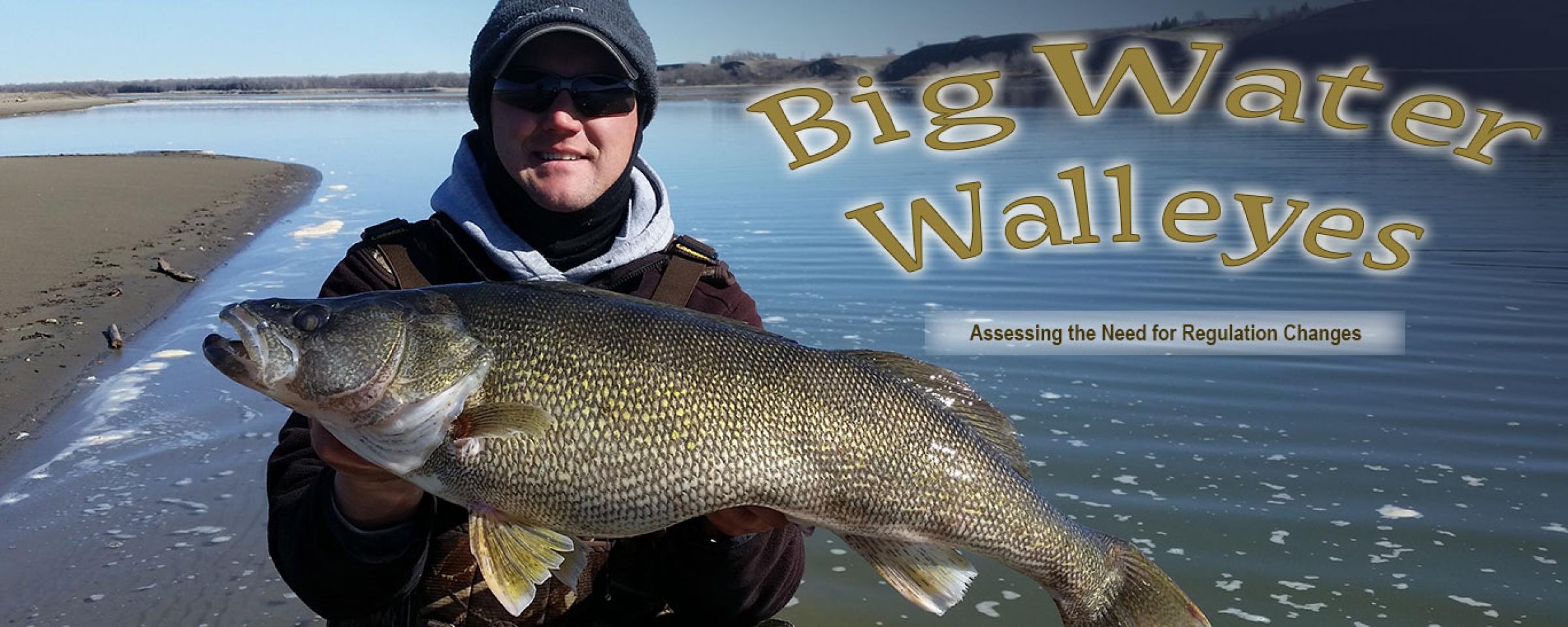 Man holding walleye