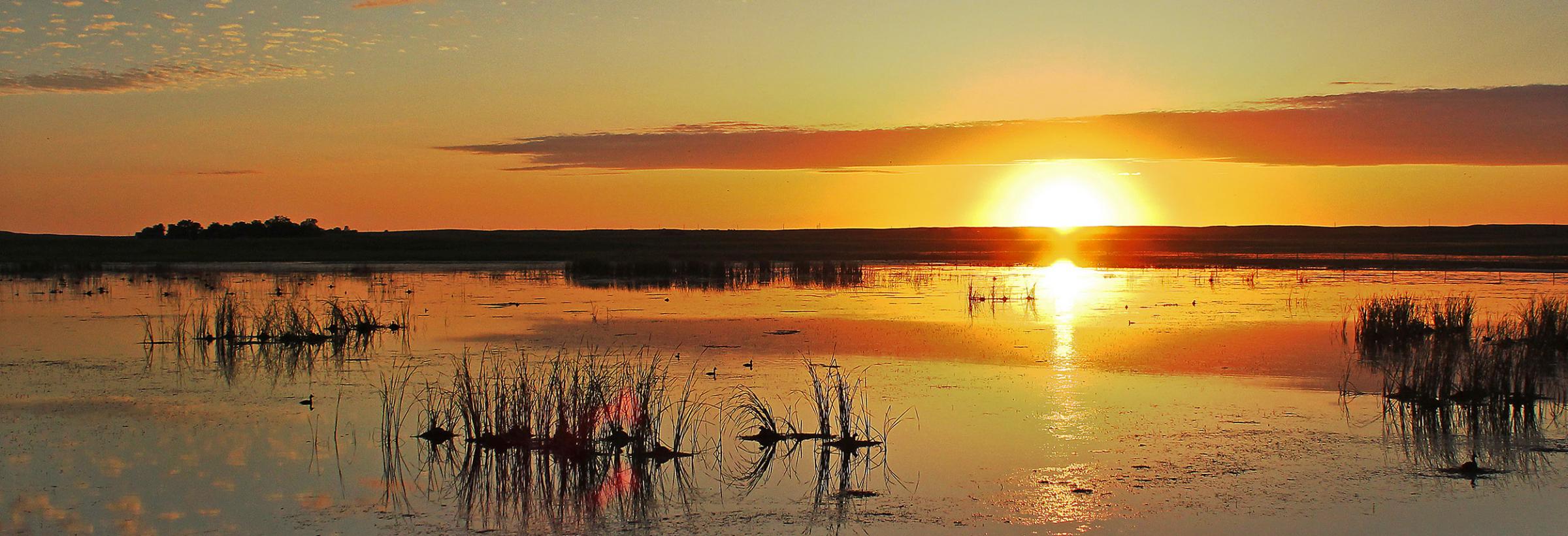 NAWCA: 30 Years of Advancing Habitat | North Dakota Game and Fish