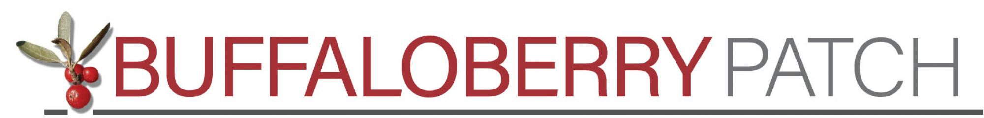 Buffaloberry drawing with logo words