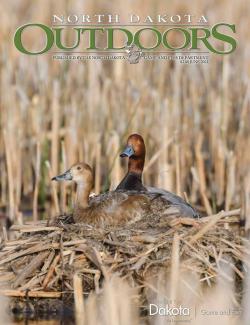 June 2021 magazine cover - Redhead duck pair