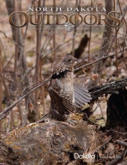 Cover of the May 2022 NDO edition - Ruffed grouse drumming