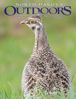 Sharptail on magazine cover