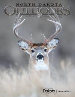 Cover - White-tailed buck looking over a hill