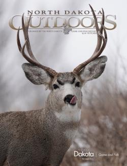 Cover - Mule deer buck