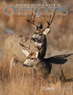 Two mule deer bucks in the badlands