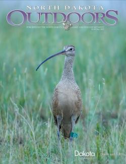 Magazine cover - Long-billed curlew with study bands on its legs