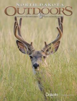 Buck in velvet
