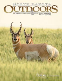 Magazine cover - two pronghorn in a crop field