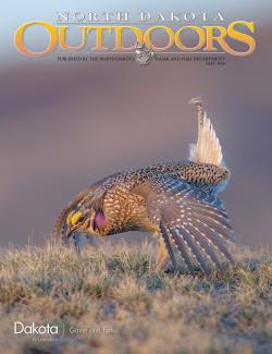 Magazine cover - displaying sharp-tailed grouse