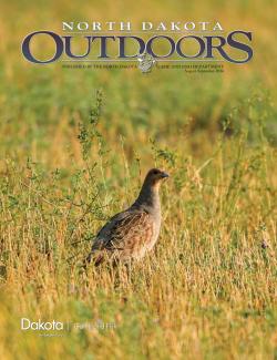 August/September NDO cover - gray partridge in late summer