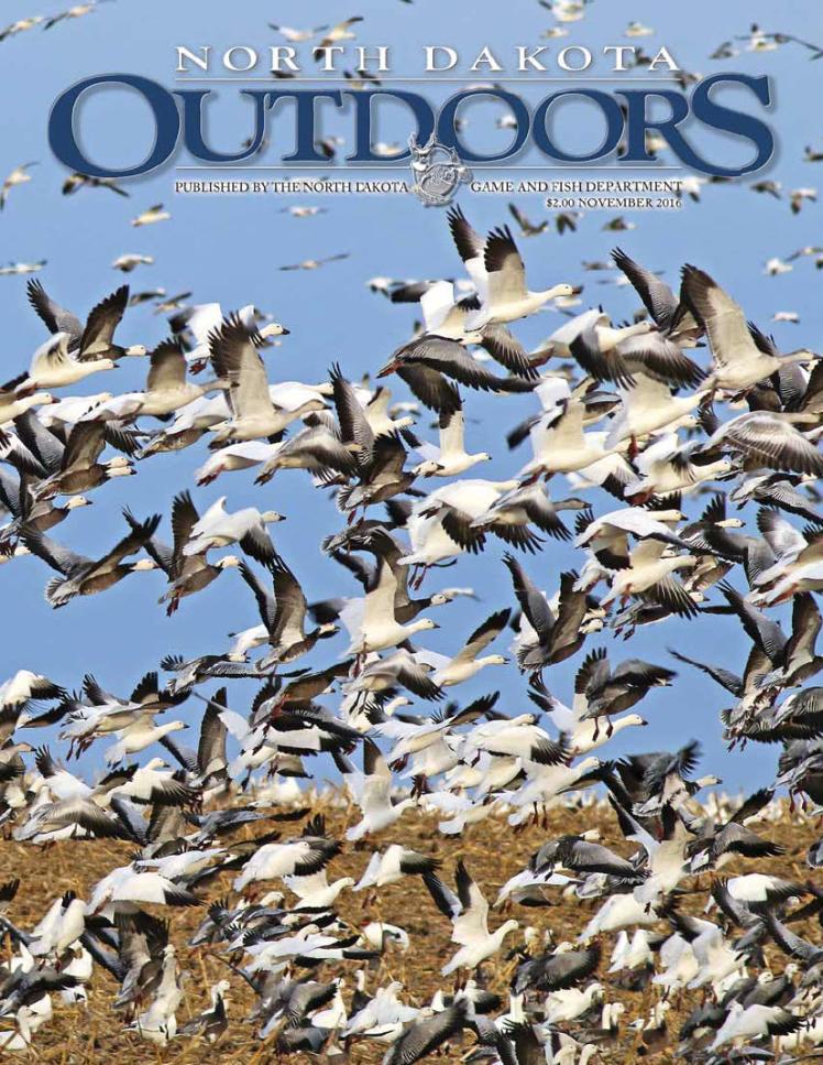 November 2016 North Dakota Game And Fish   Cover 