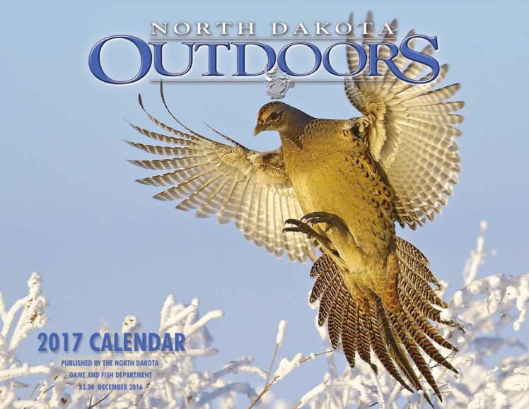 2017 Calendar Cover