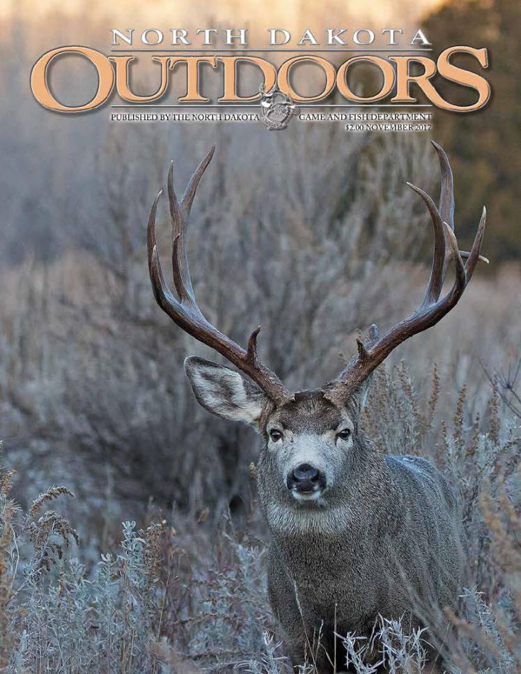 November 2017 North Dakota Game And Fish   Cover 1 