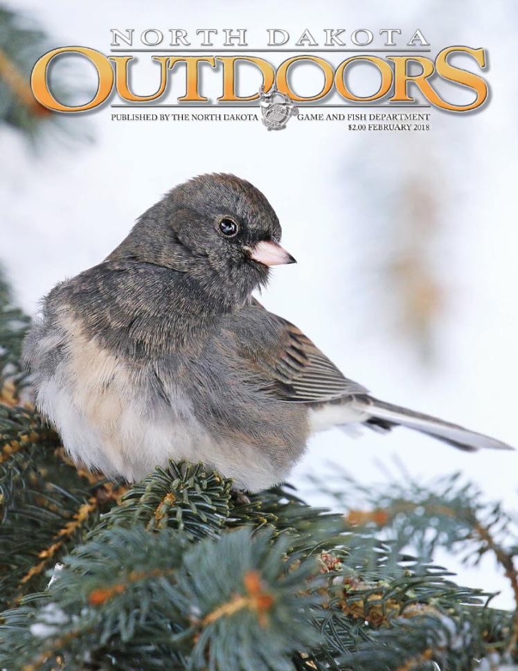 Magazine cover