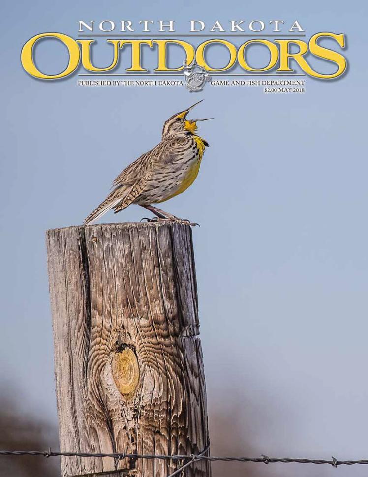 May cover