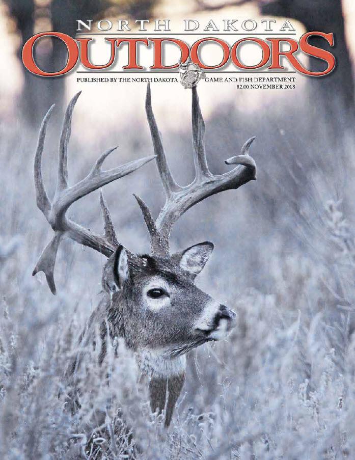 Magazine cover