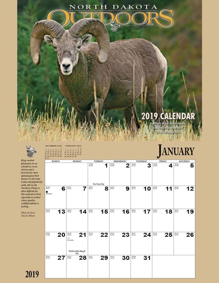 Cover graphic - 2019 Calendar