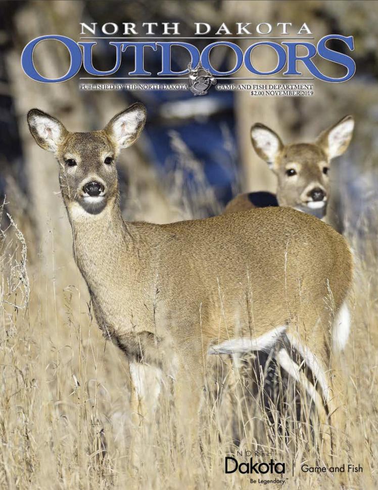 Magazine cover