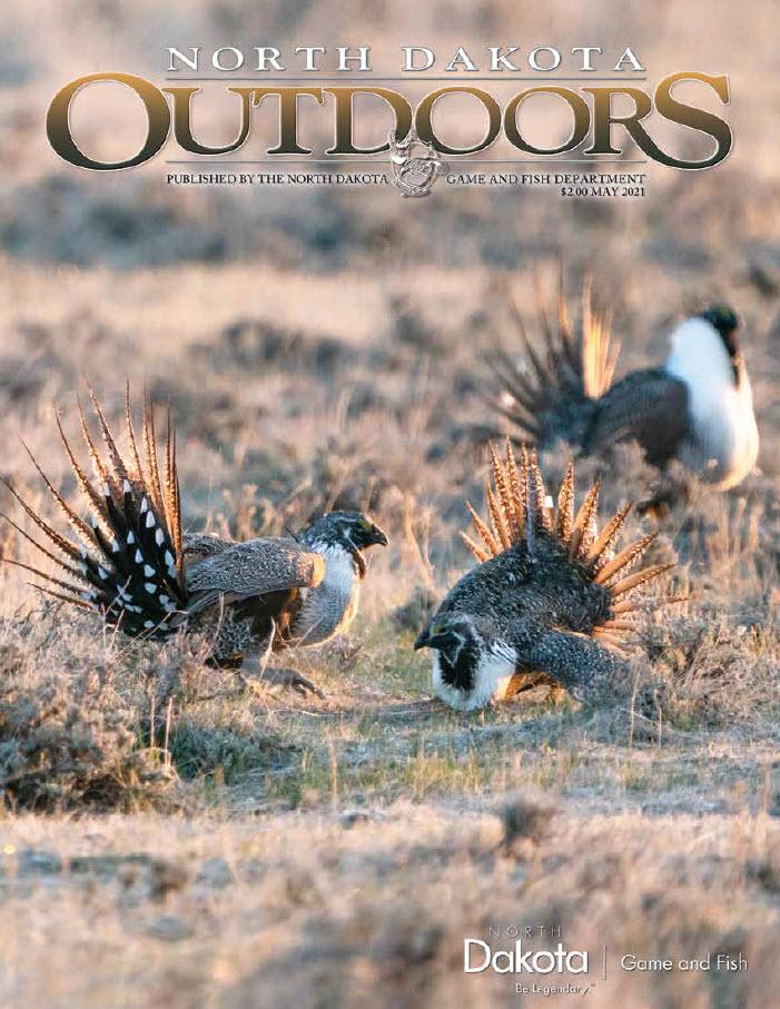 May 2021 NDO Cover - Sage-grouse lek