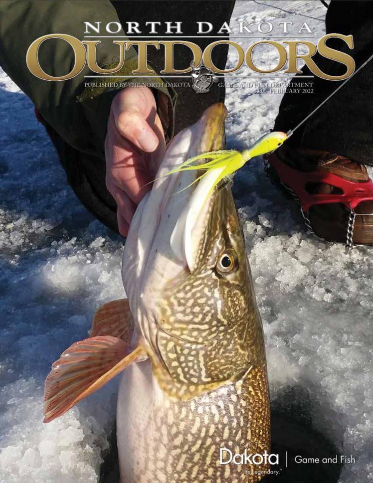 North Dakota Outdoors Magazine - February 2022 cover. Pike being pulled out of an ice fishing hole