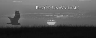 Photo unavailable