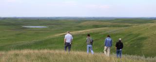 Grasslands