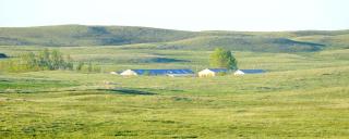 Mixed/short-grass prairie