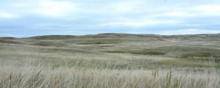 Grasslands