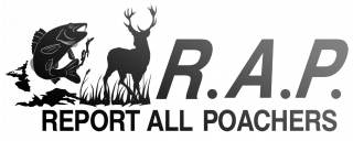 RAP Logo