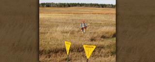 Plots in nd zip Plots in nd zip