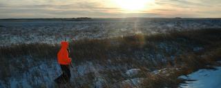 Youth pheasant hunting