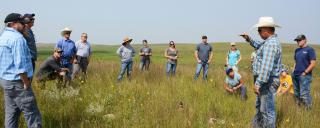 Pollinator field trip